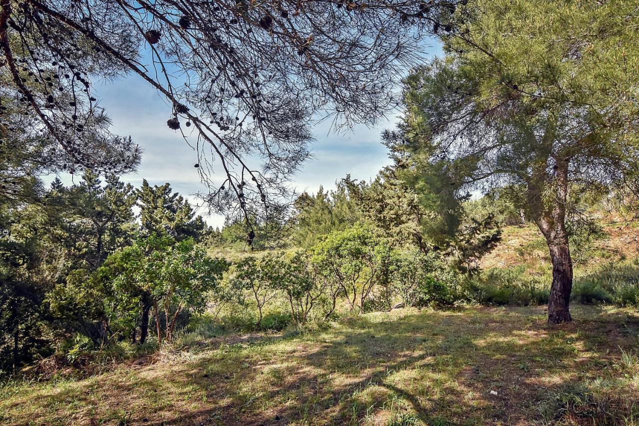 Holiday park Drolma Ling Nature Theologos (Rhodes)