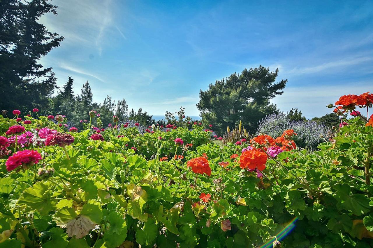 Holiday park Drolma Ling Nature