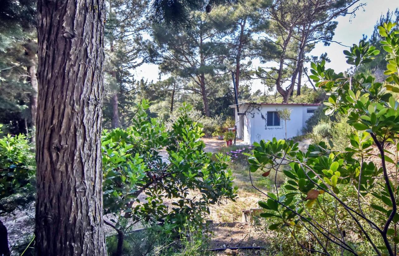 Holiday park Drolma Ling Nature