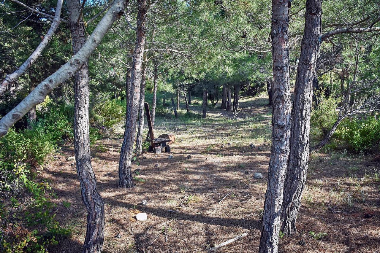 Drolma Ling Nature Holiday park *