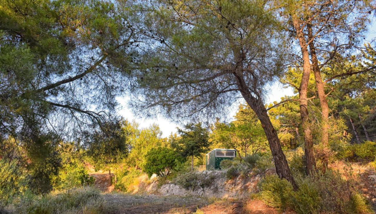 Holiday park Drolma Ling Nature Theologos (Rhodes)