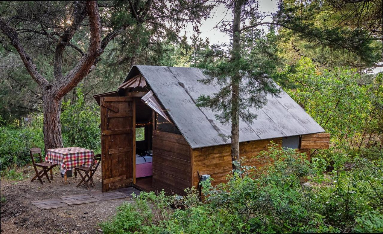 Holiday park Drolma Ling Nature