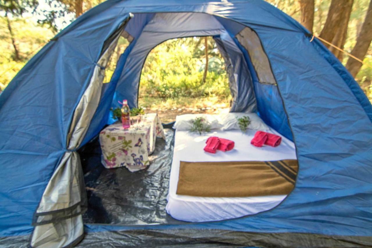Holiday park Drolma Ling Nature