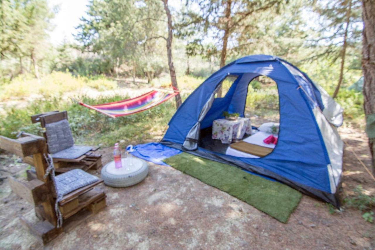 Holiday park Drolma Ling Nature
