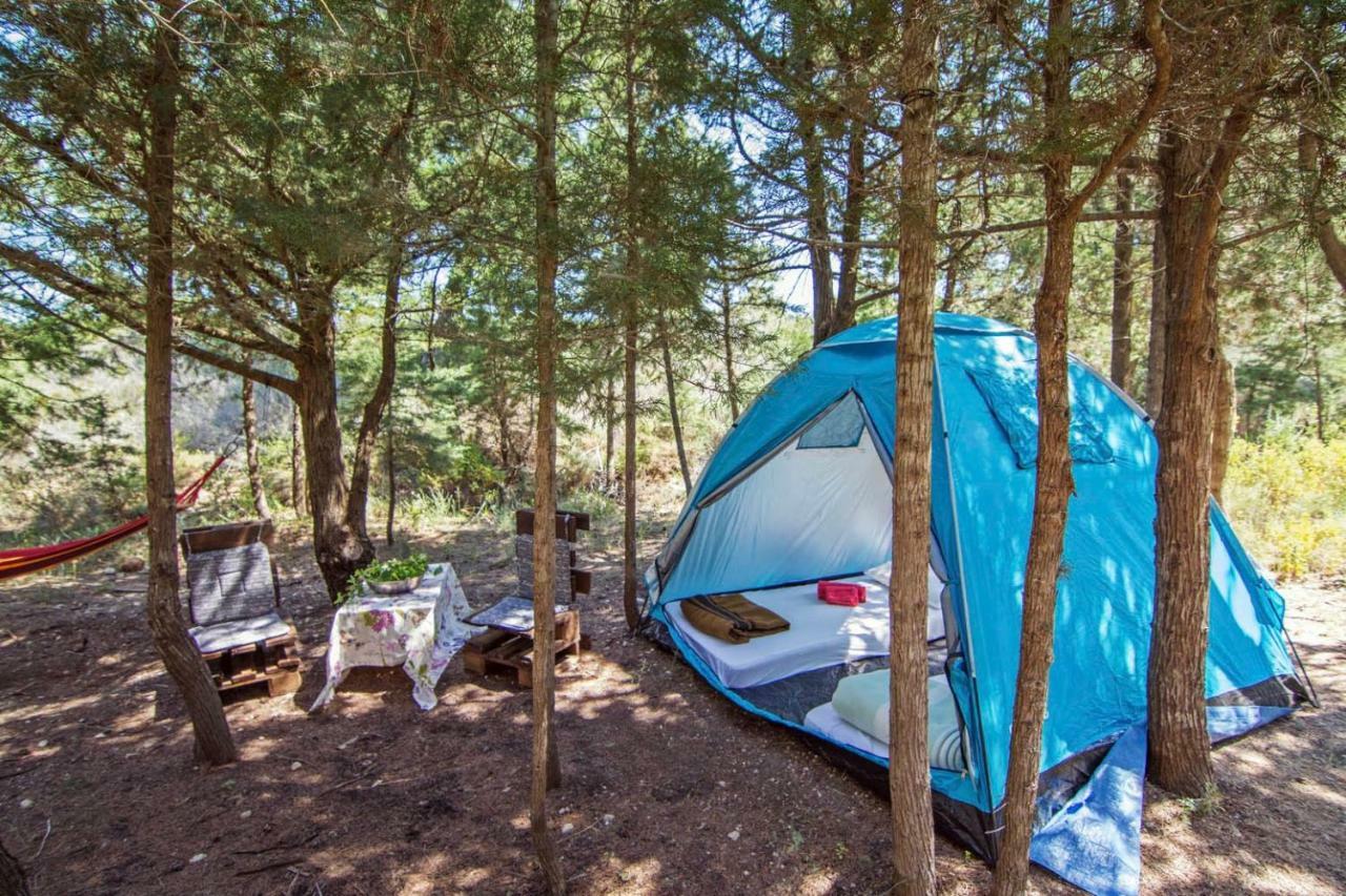 Holiday park Drolma Ling Nature