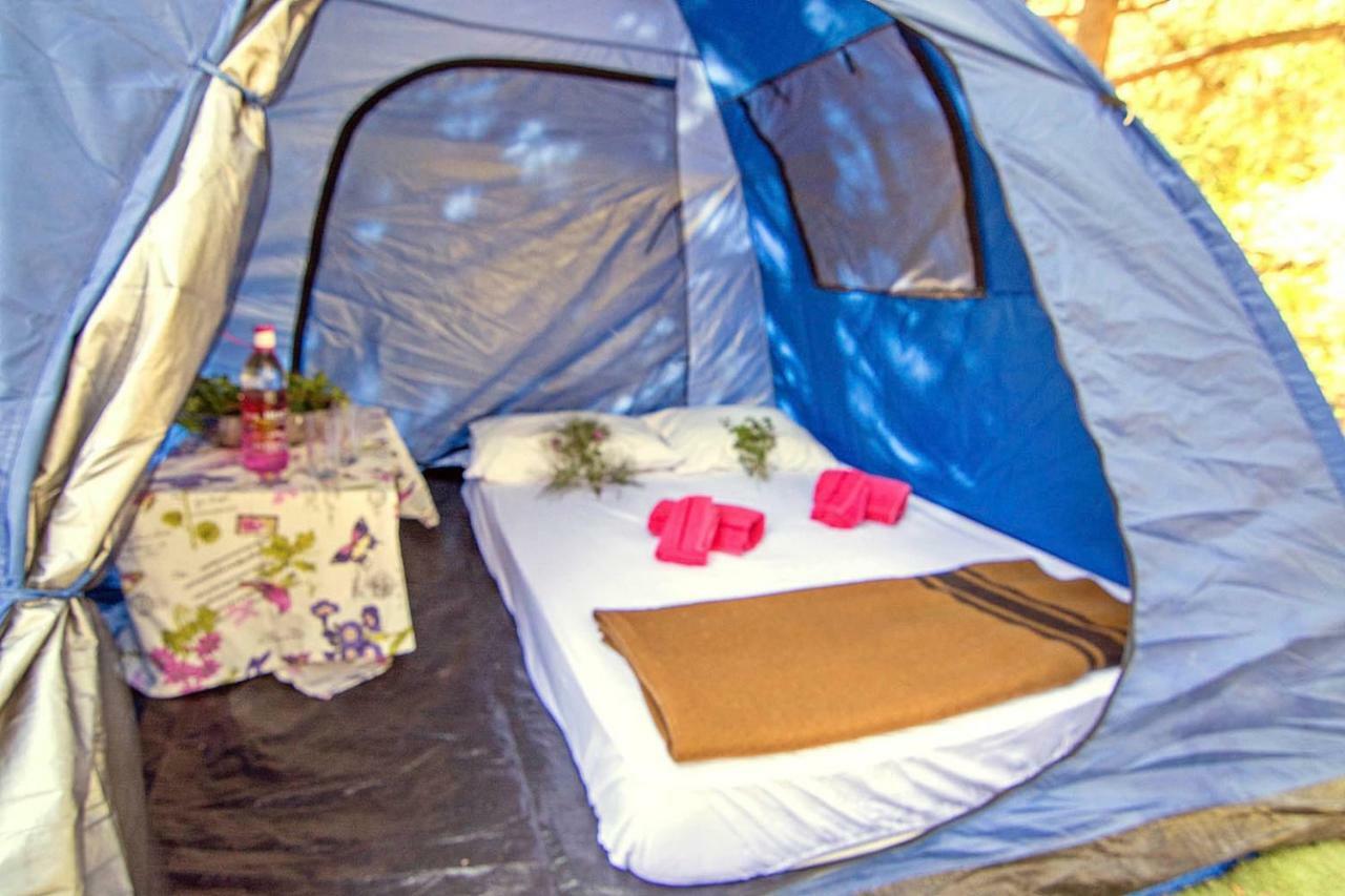Holiday park Drolma Ling Nature